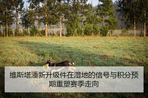 维斯塔潘新升级件在湿地的信号与积分预期重塑赛季走向
